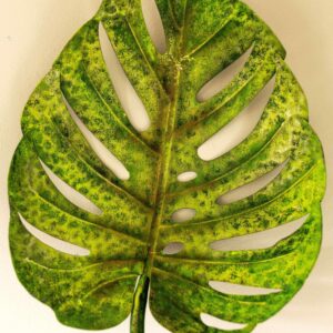 ,,Tropical Monstera Leaf, oil on metal 40x29, Oldham England 2020